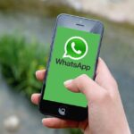 smartphone, iphone, whatsapp, hand, blank screen, mobile phone, cellular telephone, phone, white screen, communication, phone in hand, messenger, message, chat, service, exchange, friendship, platform, the logo, bell, whatsapp, whatsapp, whatsapp, whatsapp, whatsapp